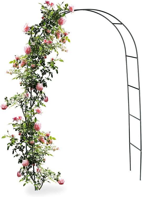pergola.jpg